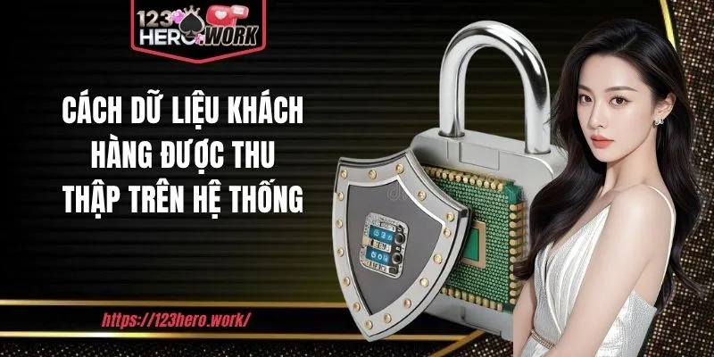 Cách dữ liệu khách hàng được thu thập trên hệ thống